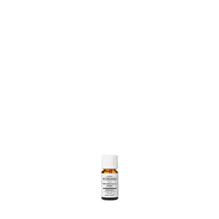 PURE GINGER ESSENTIAL OIL