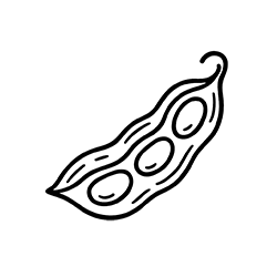Soy (Glycine max)